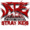 flat750x075f pad750x1000f8f8f8.u2 30 - Stray Kids UK Shop