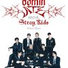 flat750x075f pad750x1000f8f8f8.u2 38 - Stray Kids UK Shop
