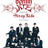 flat750x075f pad750x750f8f8f8 9 - Stray Kids UK Shop