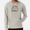 ssrcolightweight hoodiemensoatmeal heatherfrontsquare productx1000 bgf8f8f8 17 - Stray Kids UK Shop